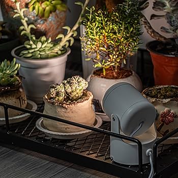 Amazon.co.jp : STGGTS 5W スポットライト 植物育成ライト 植物